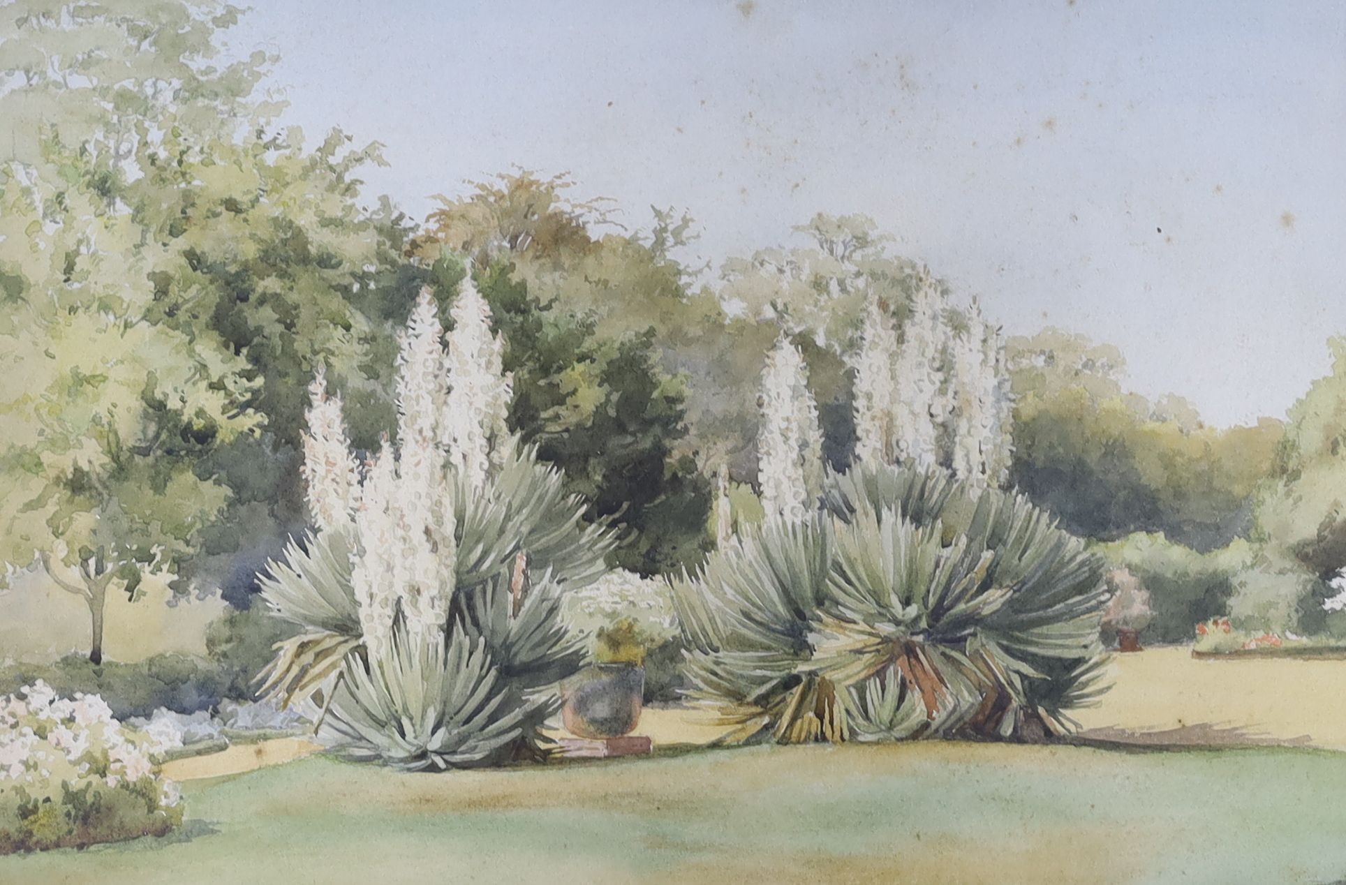 Ella Du Cane (1874-1943), set of four watercolours, Villa Sahel Algier, Garden Terrace, Rose garden and one other, signed, largest 29 x 44cm